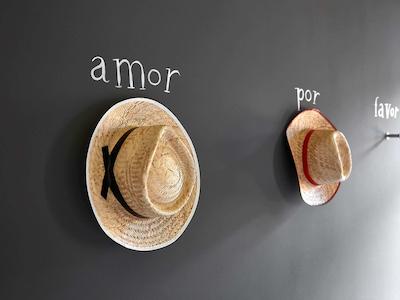 ماما شلتر ریو د جانیرو