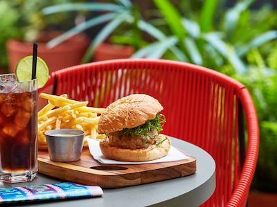 ماما شلتر ریو د جانیرو