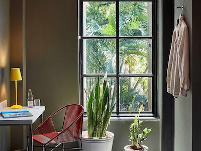 ماما شلتر ریو د جانیرو