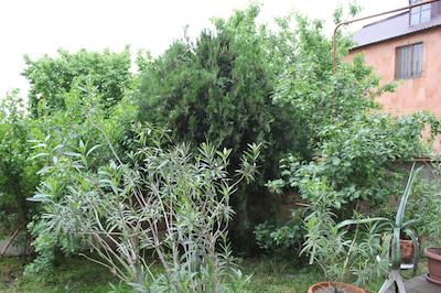 بست ویو هتل