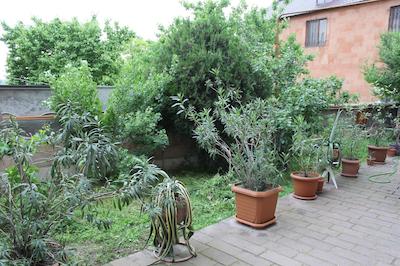 بست ویو هتل