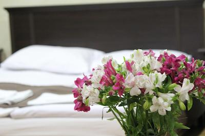 بست ویو هتل