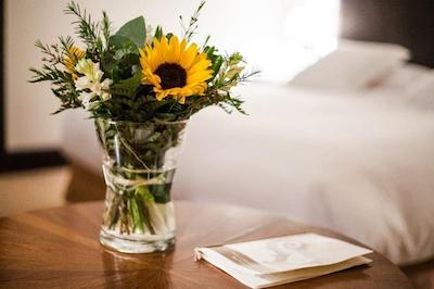 هتل ویلا سُرو