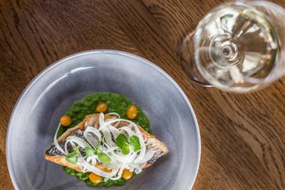 قو امستردام