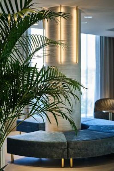 قو امستردام