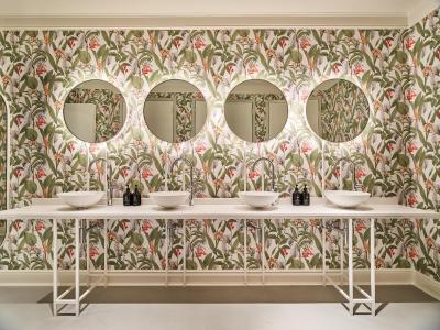 قو امستردام