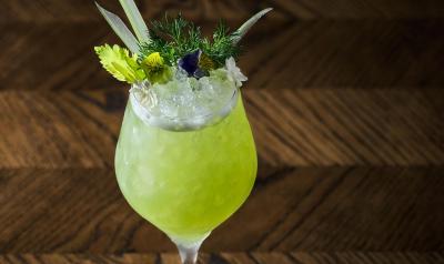 قو امستردام