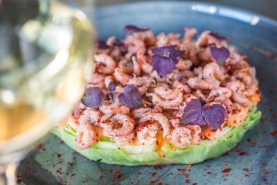 قو امستردام