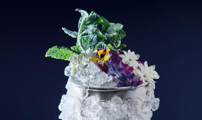 قو امستردام