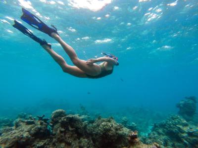 سیزن پارادایس