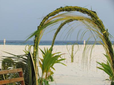 سیزن پارادایس