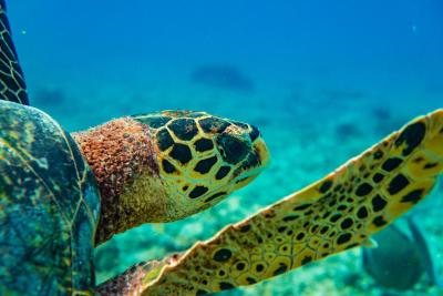 سیزن پارادایس