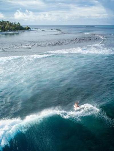 سیزن پارادایس