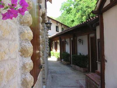 سرنیسیما پارختل