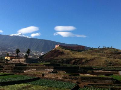 لاز اگویلاز