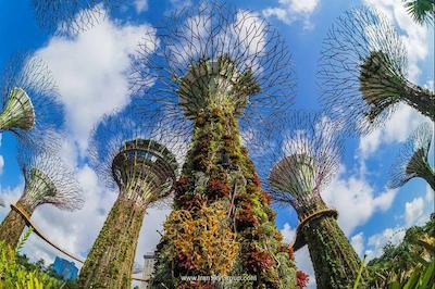 گرند حیات سنگاپور