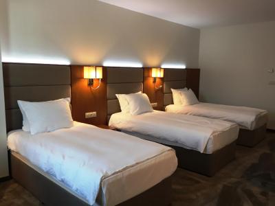 گلدن تولیپ وارنا