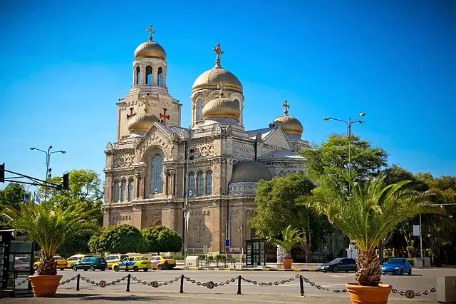 گلدن تولیپ وارنا