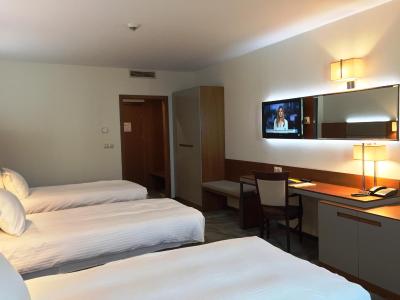 گلدن تولیپ وارنا