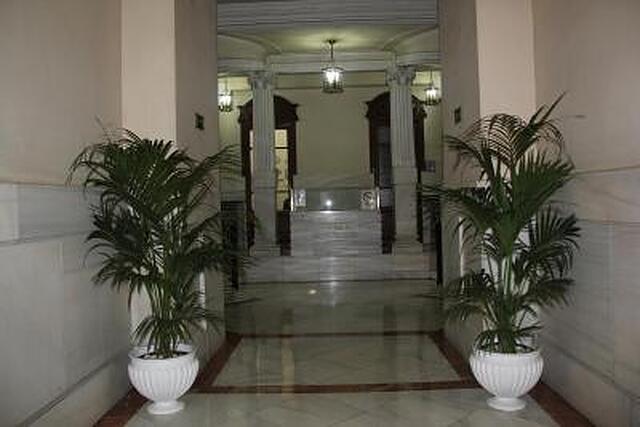 هستال اسپلندید