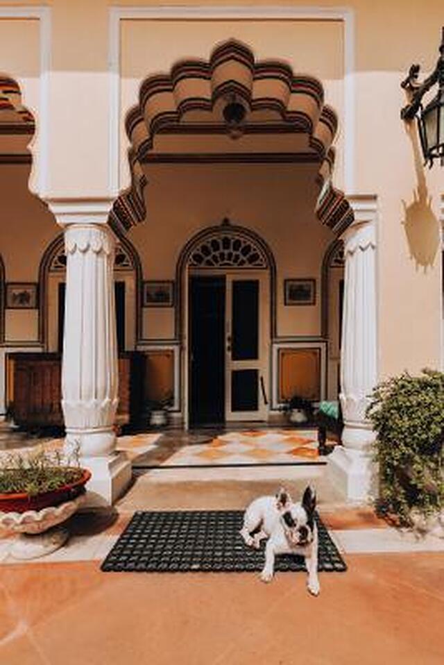آلسیسار هاولی