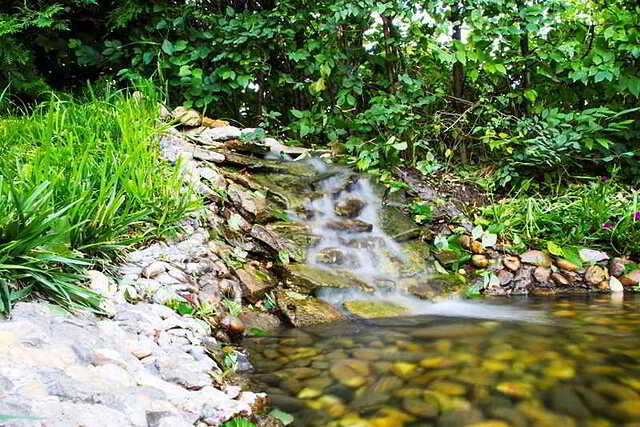 کلاسیک