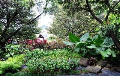 بربودور جاکارتا