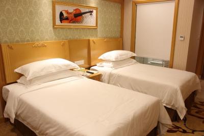 وینا هتل شنزهن نانشان ییلیدا