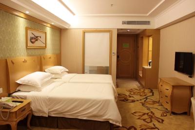 وینا هتل شنزهن نانشان ییلیدا