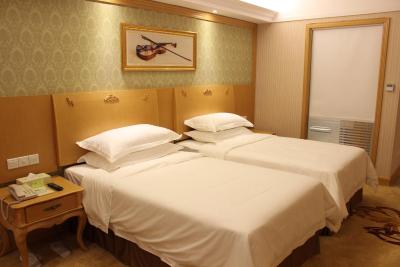 وینا هتل شنزهن نانشان ییلیدا