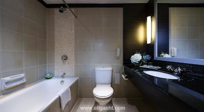 گرند مرکور روکسی سنگاپور