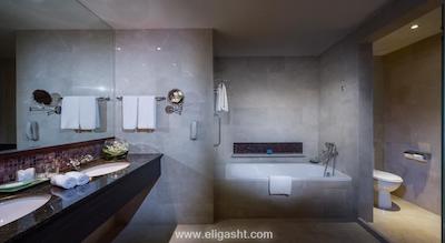 گرند مرکور روکسی سنگاپور