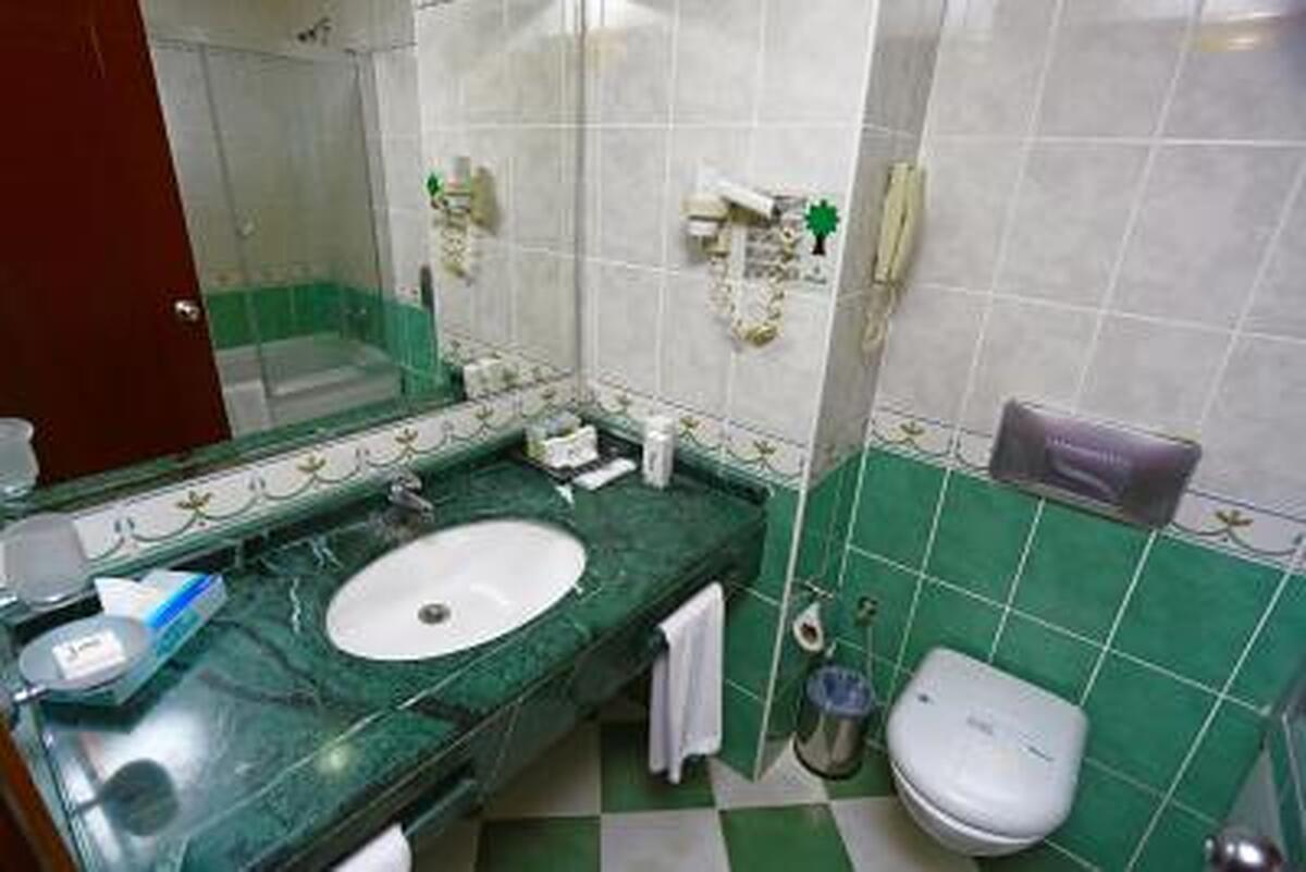 گرین پارک هتل مرتر