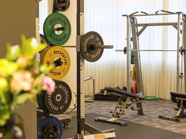 گولدن تولیپ باند نیو آسیا