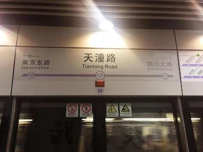 گولدن تولیپ باند نیو آسیا