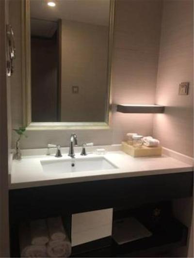 گولدن تولیپ باند نیو آسیا