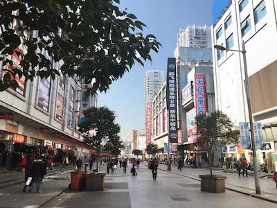 گولدن تولیپ باند نیو آسیا