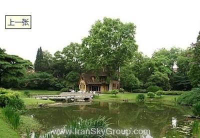 جین جیانگ سایپرس