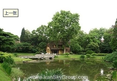 جین جیانگ سایپرس