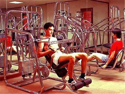 جین جیانگ سایپرس