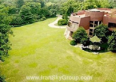 جین جیانگ سایپرس