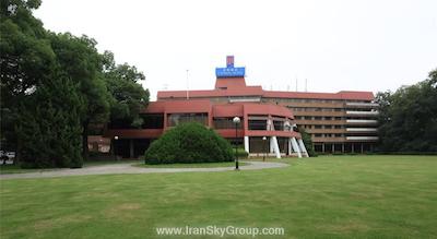 جین جیانگ سایپرس