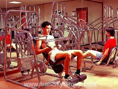 جین جیانگ سایپرس