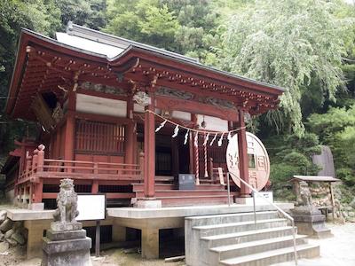 وادکسن یونیادو وادو