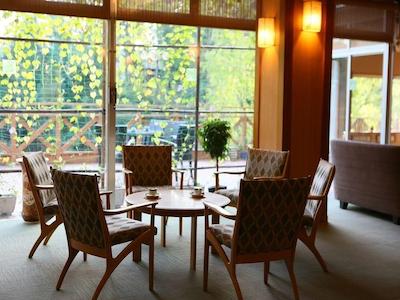 وادکسن یونیادو وادو