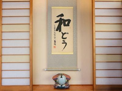 وادکسن یونیادو وادو