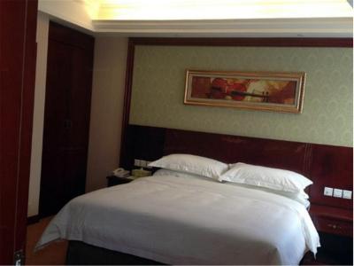 وینا هتل شانگهای هانگچائو ایرپورت سنتر