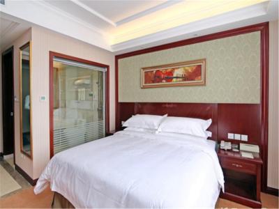 وینا هتل شانگهای هانگچائو ایرپورت سنتر