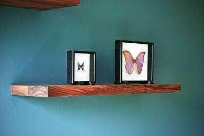 هیات رجنسی امستردام