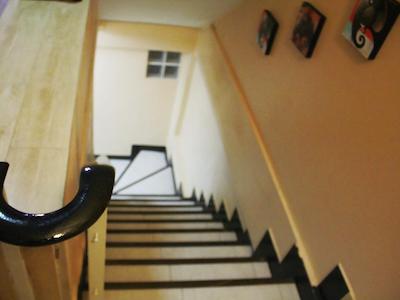 استار گوسدوس